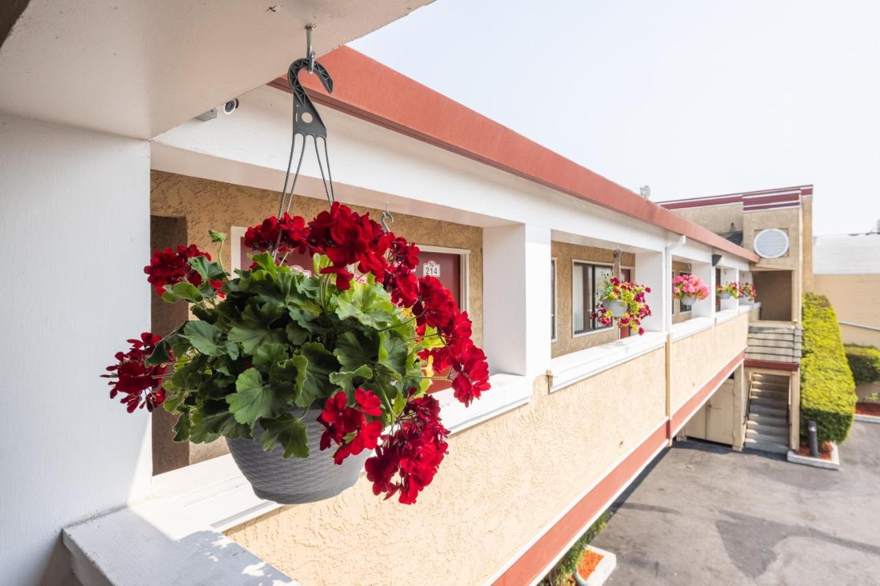 Americana Inn Motel South San Francisco Exterior foto